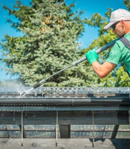 roof cleaning