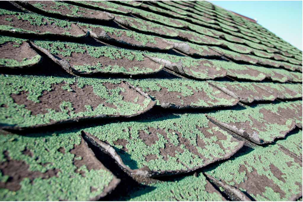 5 Signs You Need Your Roof Replaced