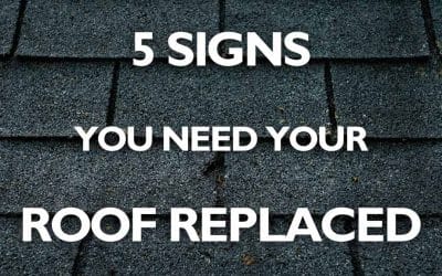 5 Signs You Need Your Roof Replaced