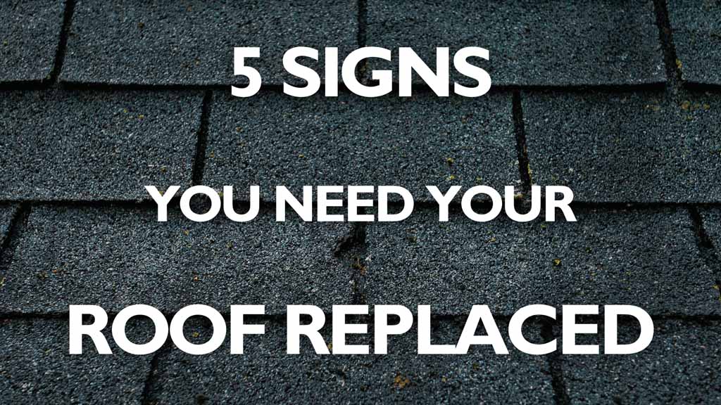 5 Signs You Need Your Roof Replaced