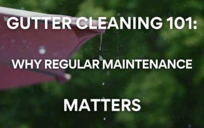 Gutter Cleaning 101: Why Regular Maintenance Matters