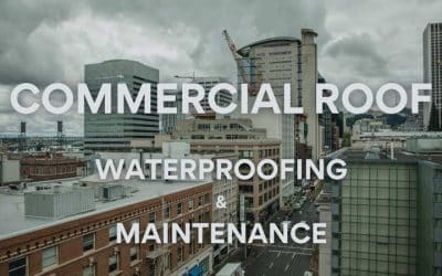 Commercial Roof Waterproofing and Maintenance: A Pacific Northwest Guide