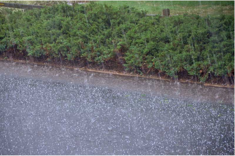 Spotting Hail Damage What to Look for After a Storm