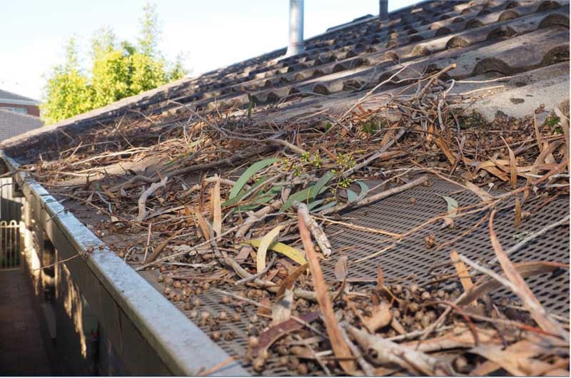 Spring Roof Cleaning: Removing Debris and Moss
