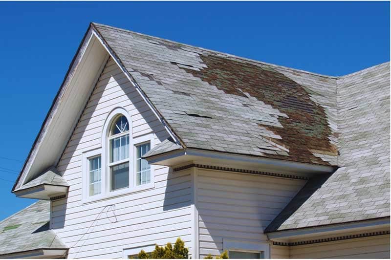Essential Guide to Roof Repairs: DIY vs Professional Services