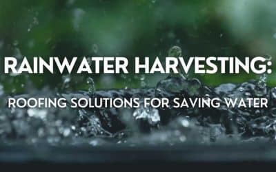 Rainwater Harvesting: Roofing Solutions for Saving Water