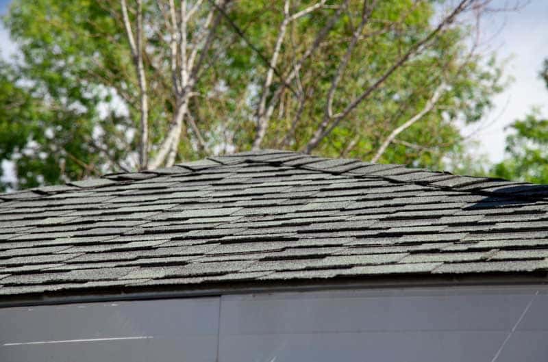 Debunking the Top 5 Roofing Myths: What Homeowners Need to Know