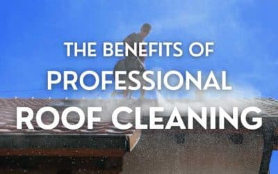 The Benefits of Professional Roof Cleaning: Why It’s Worth the Investment