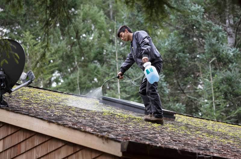  The Importance of Regular Moss Removal: Protecting Your Portland Roof