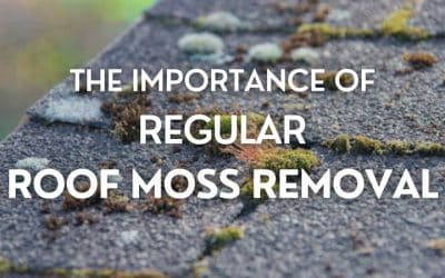 The Importance of Regular Moss Removal: Protecting Your Portland Roof